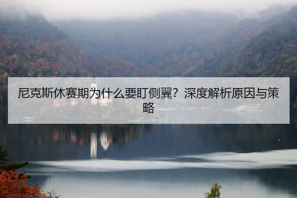 尼克斯休赛期为什么要盯侧翼？深度解析原因与策略